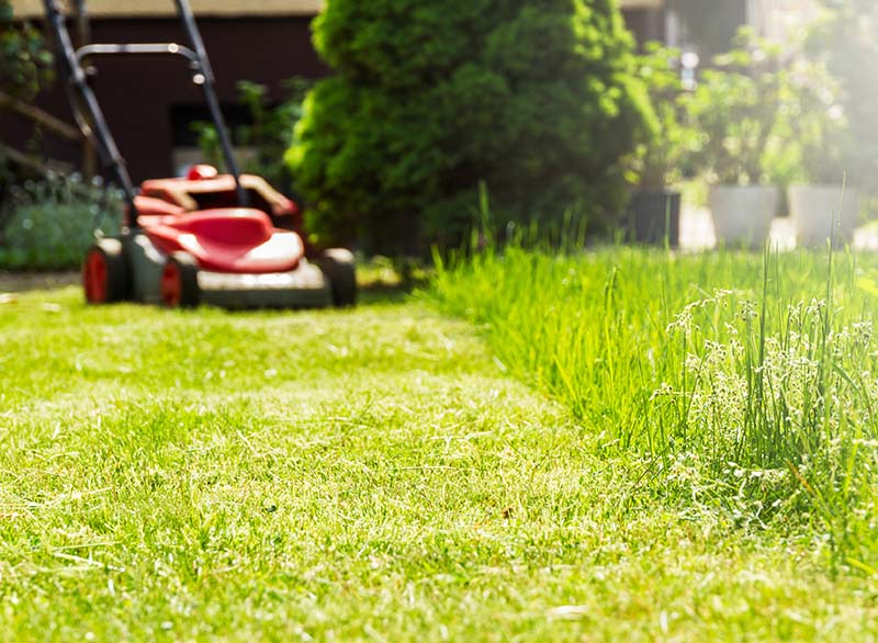 Expert Garden Maintenance Services: How Studio Windsor Can Upkeep Your Outdoor Paradise